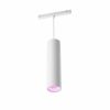 Slimme Verlichting Philips Hue | Perifo Cilinder Hanglamp