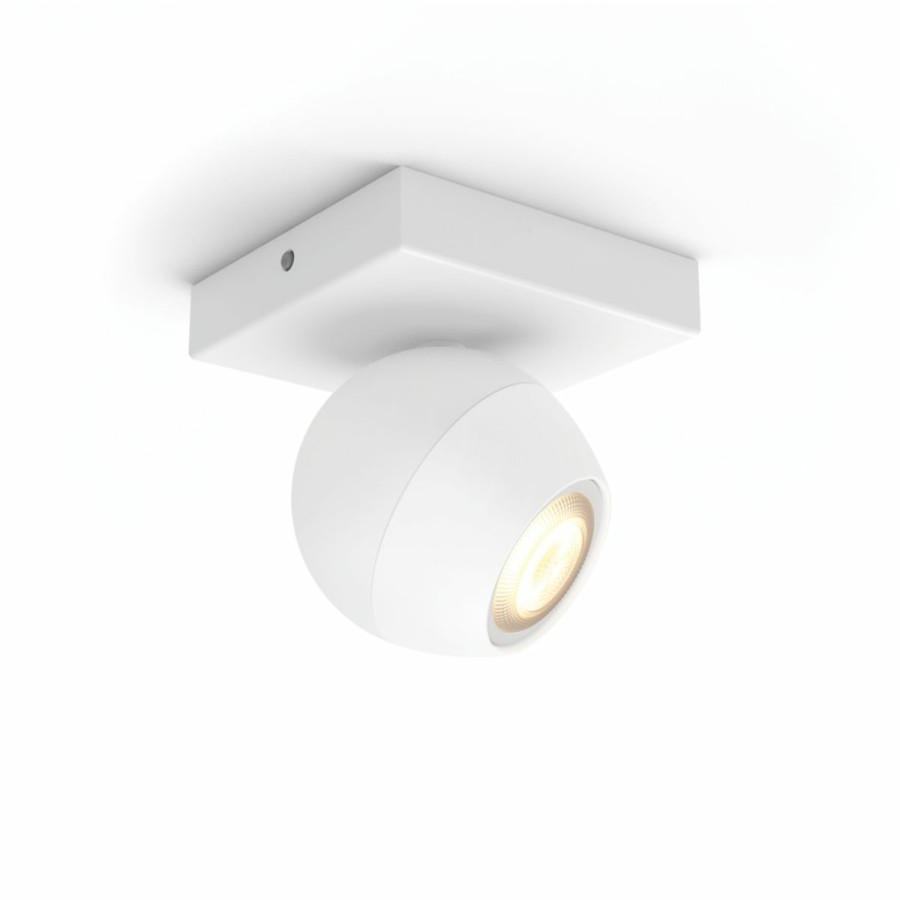 Slimme Verlichting Philips Hue | Buckram Spot