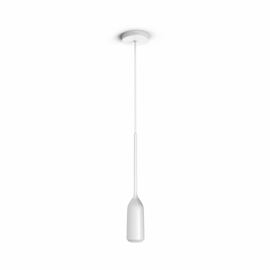 Slimme Verlichting Philips Hue | Devote Hanglamp