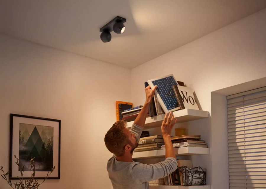 Slimme Verlichting Philips Hue | Buckram 2-Lichts Spotbalk