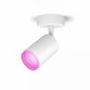 Slimme Verlichting Philips Hue | Fugato 1-Lichts Spotbalk